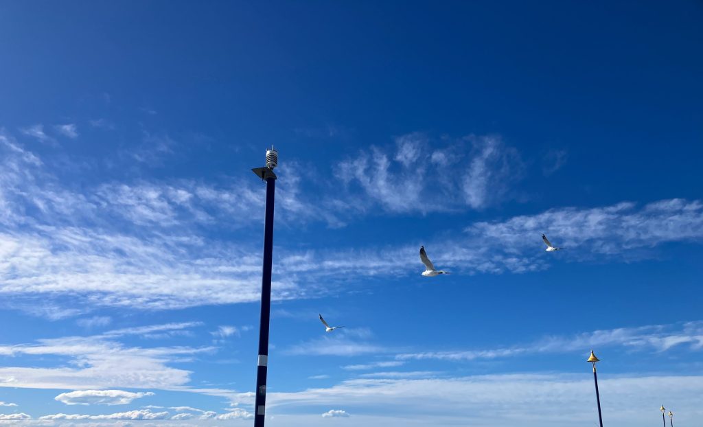 Photo taken from New Brighton pier, showing seagulls flying past a lamppost, to denote open skies and opportunity. Credit: aimee whitcroft, 2026.